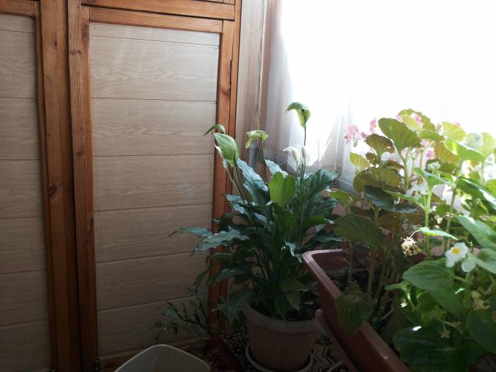 Продам двухкомнатную улучшенную по Толеби угол Гагарина, фотография 5