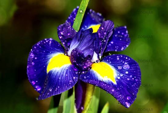 Услуги дизайна, фотография 1