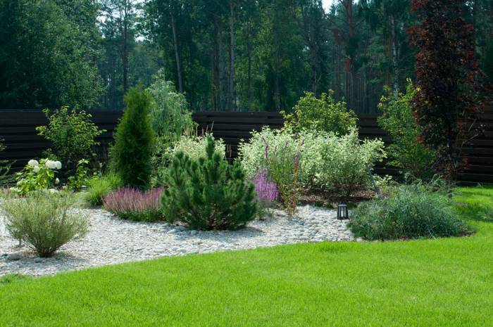 Озеленение, Благоустройства, Садоводства , фотография 1