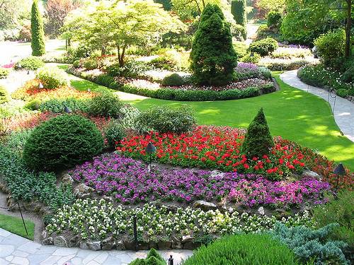 Озеленение, Благоустройства, Садоводства , фотография 2