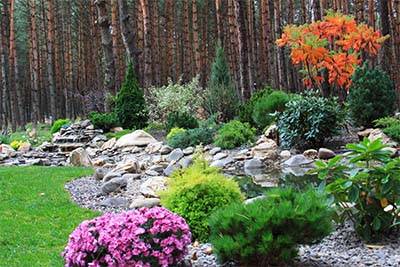 Озеленение, Благоустройства, Садоводства , фотография 4