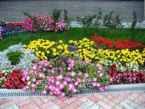 Озеленение, Благоустройства, Садоводства , фотография 6