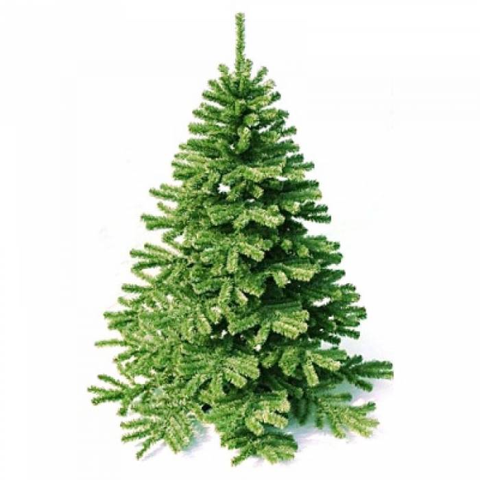 Озеленение, Благоустройства, Садоводства , фотография 7