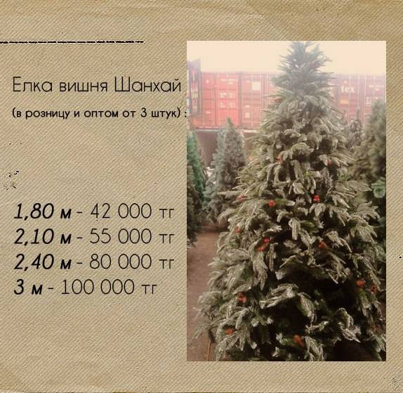 Новогодние Елки, фотография 2