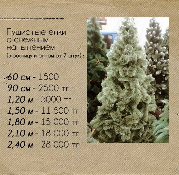 Новогодние Елки, фотография 3