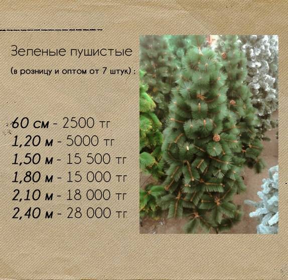 Новогодние Елки, фотография 4