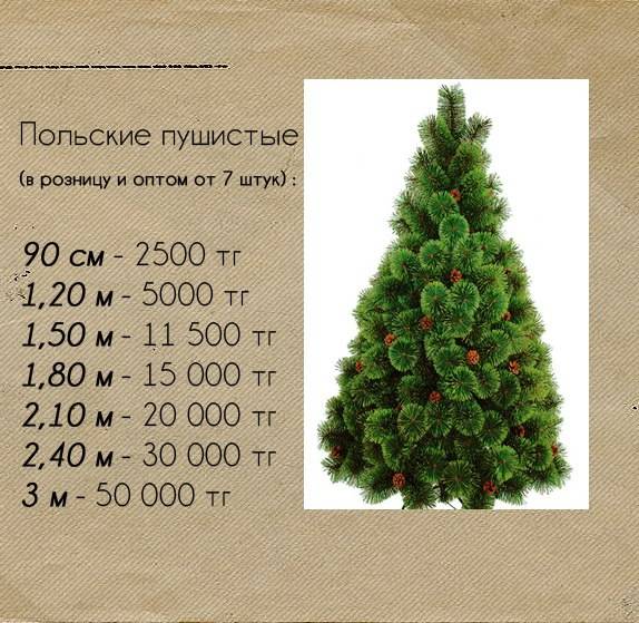 Новогодние Елки, фотография 5