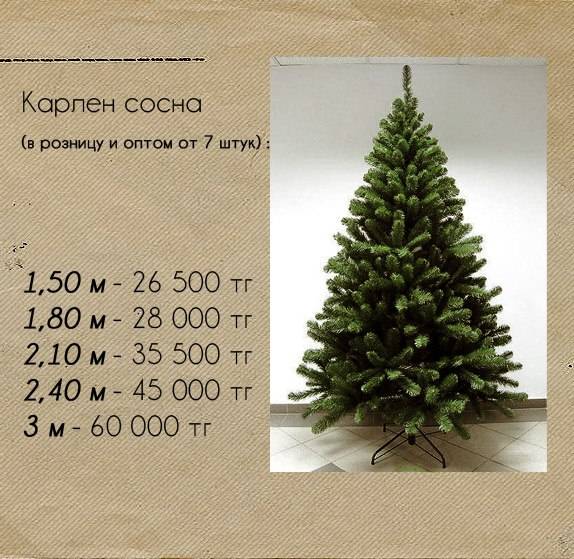 Новогодние Елки, фотография 6