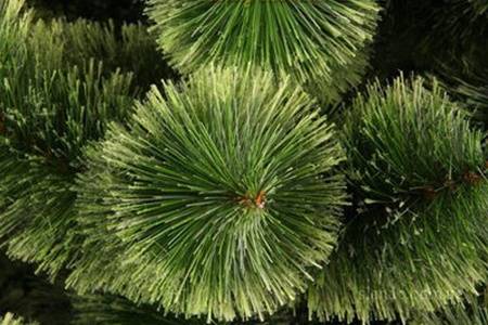 Новогодние искусственные елки, фотография 2