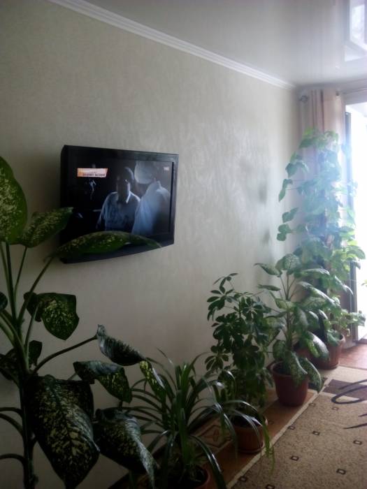 Продам квартиру, Восточная7, фотография 4