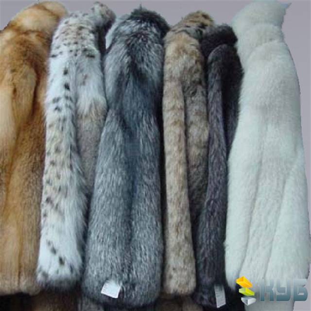 Комиссионый Show Room, фотография 1