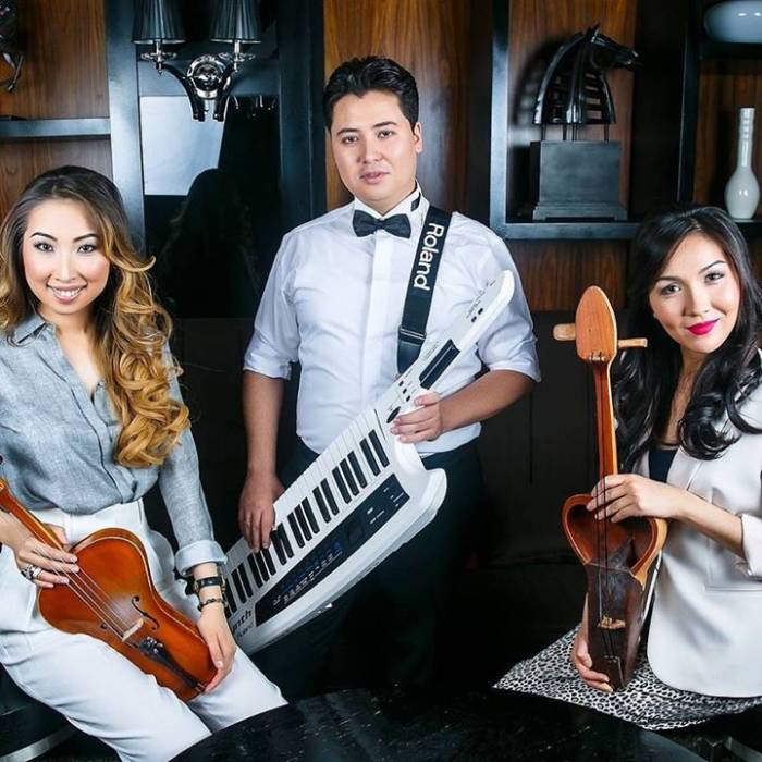 Вокально инструментальные ансамбли, фотография 3