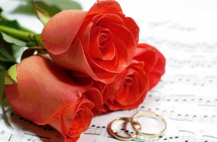 Видео-монтаж, слайд-шоу недорого, фотография 3