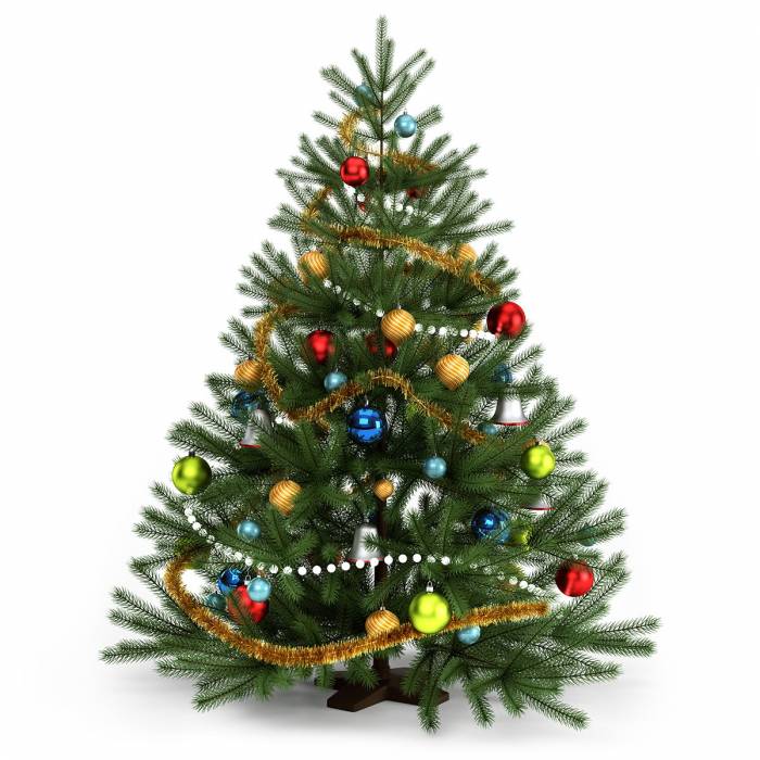 Новогодние ели и сосны, фотография 2