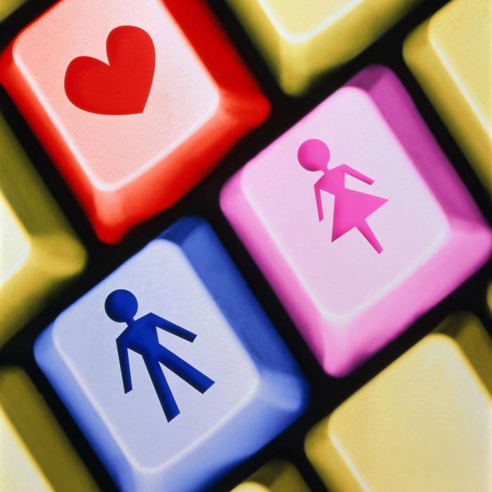 Готовый сайт знакомств.Учебный вебинар, фотография 2