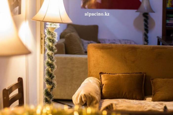 Как встречать 2016 год -в Свободном Пространстве Al Pacino!, фотография 6