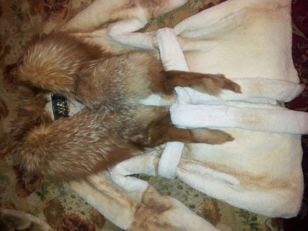 Продам шубу (Бобёр), фотография 1