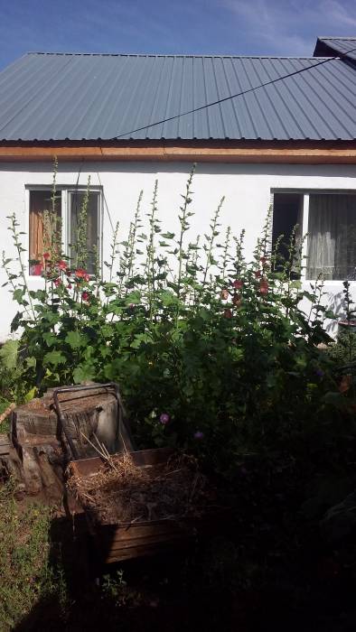 продам дом в каскелене. район школы Белинского, фотография 1