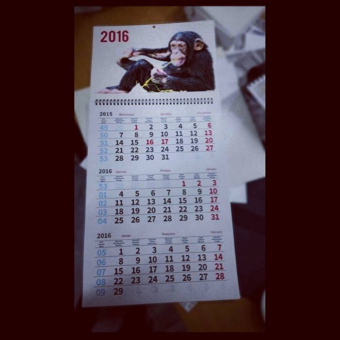 Полиграфия Art Inspiration, фотография 9