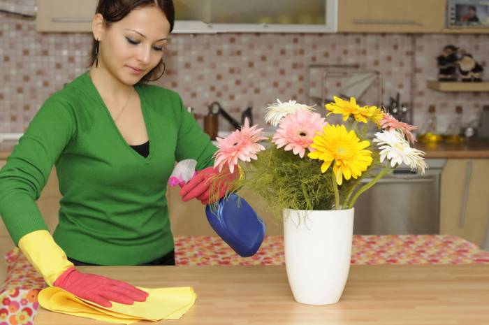 Помощница по дому со знанием английского., фотография 2