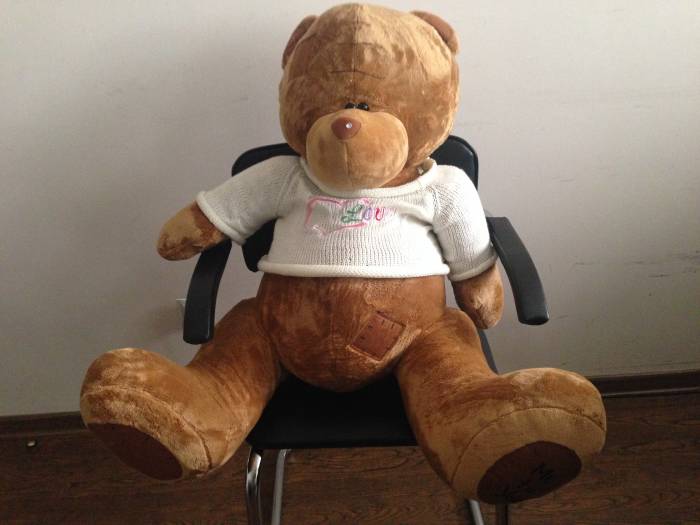 Плюшевые МИШКИ Teddy», фотография 4