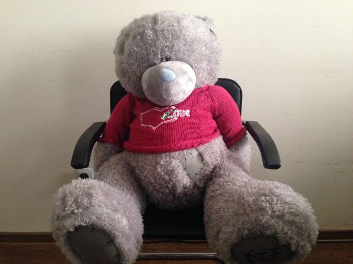 Плюшевые МИШКИ Teddy», фотография 5