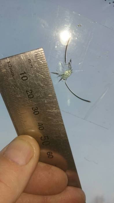 Ремонт реставрация автостекол.Оперативный выезд., фотография 7