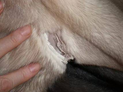 реставрация одежды, фотография 2