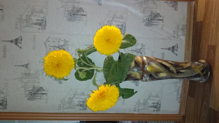 Продаю дом, Акмол, фотография 5