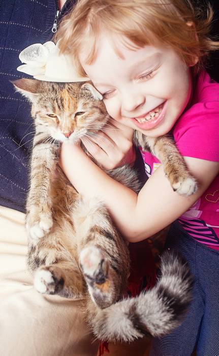 Кошечка-акробат ищет свой дом, фотография 1