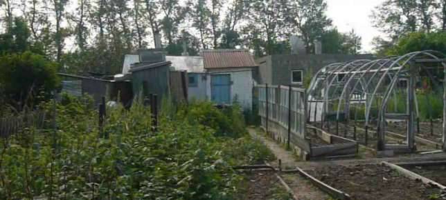 Продам добротный дом-дачу, фотография 6