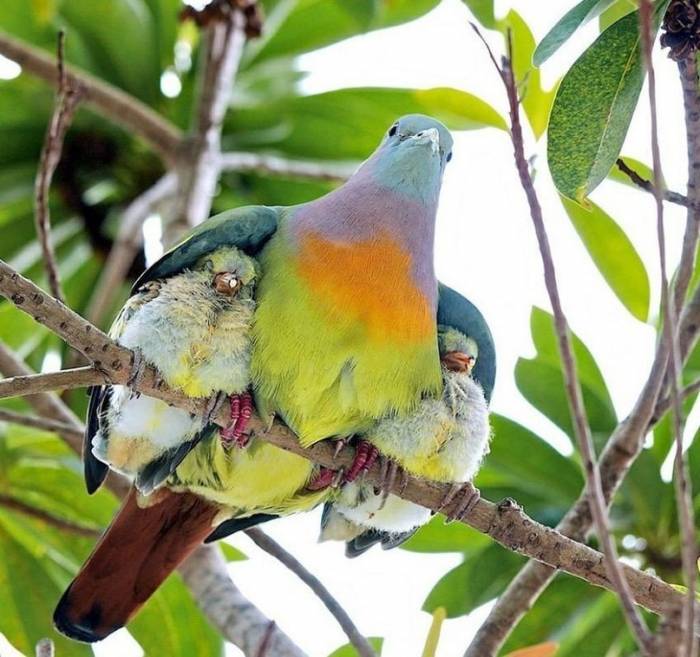 pаботa mолькo ONLINE,   без продаж, фотография 4