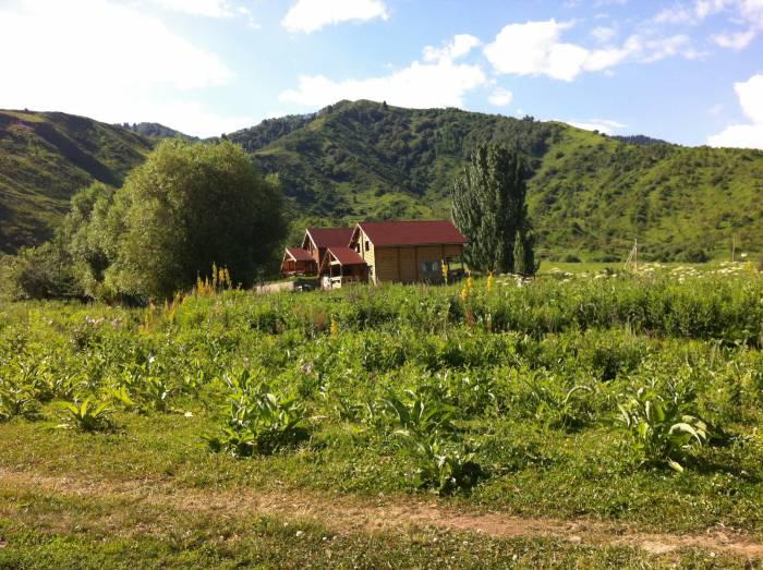 Сдам коттедж посуточно, Горный садовод, фотография 8