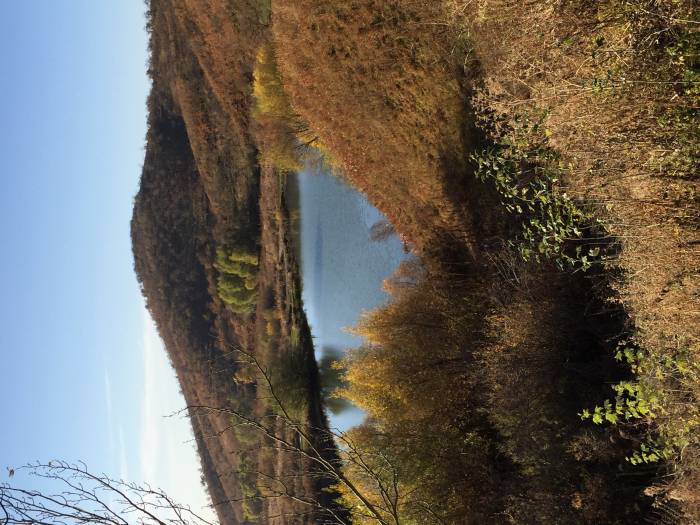 Сдам коттедж посуточно, Горный садовод, фотография 9