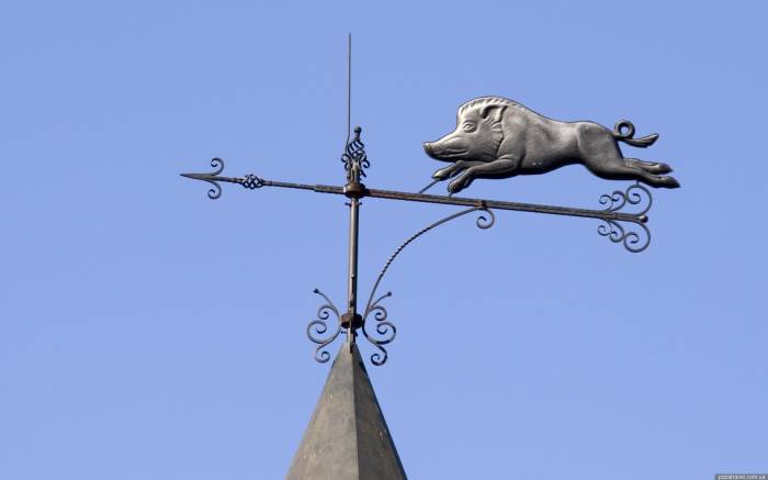 Кованые флюгеры, фотография 10