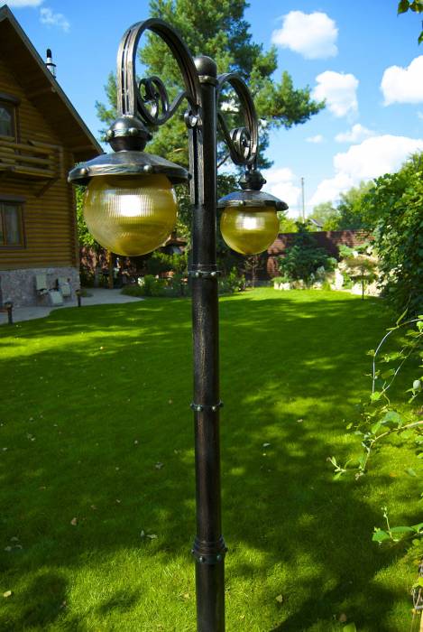 Кованый экстерьер, фотография 4