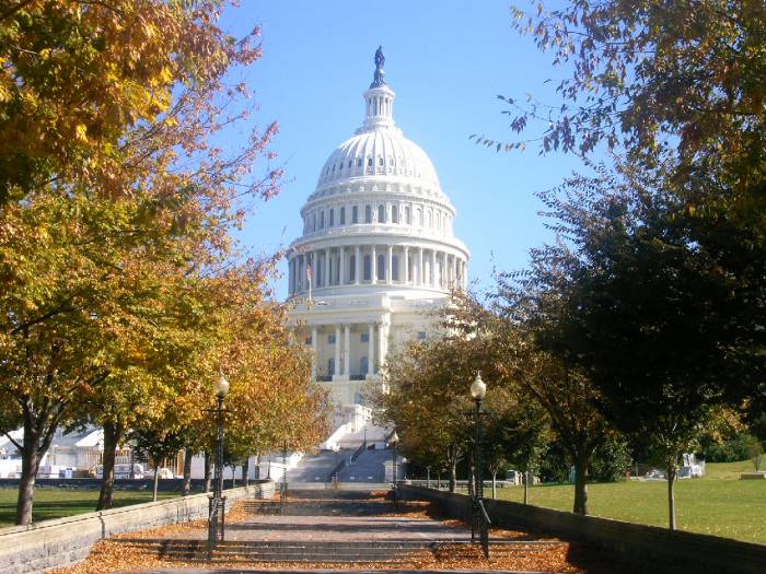 Green Card, фотография 1