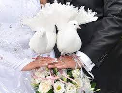Свадебные голуби, фотография 5