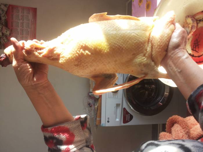 продам утку домашнюю, фотография 1