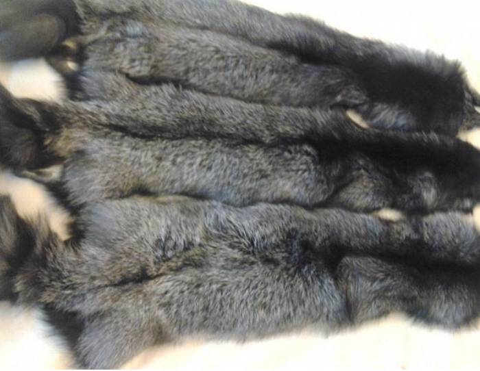Шкурки чернобурки от 4000 руб, фотография 1