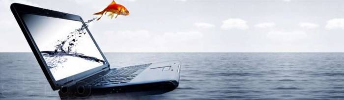 Профессиональный ремонт компьютеров и ноутбуков. Выезд по г. Астана, фотография 1