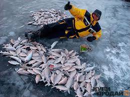 Активатор клёва Fish Hungry, фотография 2