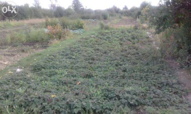 Дача 8 соток, фотография 3