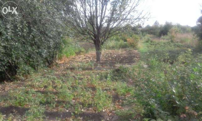 Дача 8 соток, фотография 5