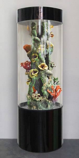 254 литровый цилиндрический аквариум , фотография 5