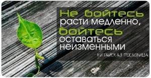 Работа 2-4 часа в день, фотография 1