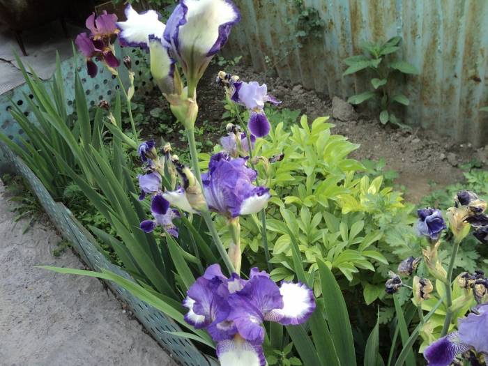 Продам полдома в Турксибском районе , кузьмина 37, фотография 6