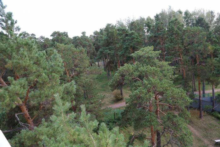 элитные участки, курорт Бурабай, фотография 4