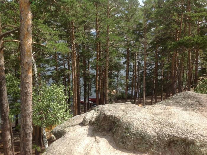 элитные участки, курорт Бурабай, фотография 11