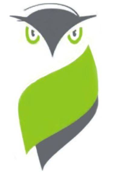 Профессиональная Бухгалтерская Компания 